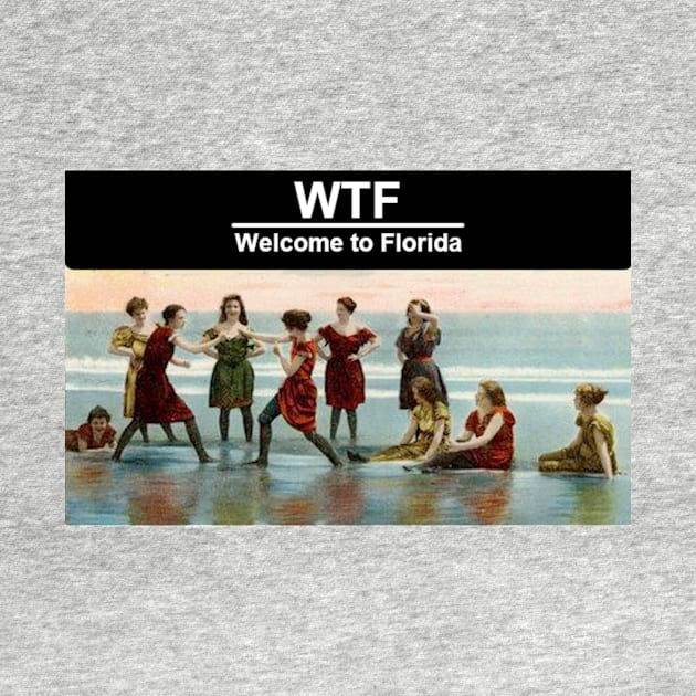 Welcome to Florida! Victorian Ladies Fistfight. by Green Grackle